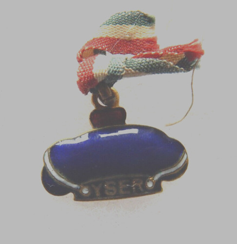 Insigne journée pendentif - insigne,